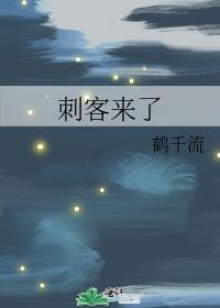 刺客来抓黄忠